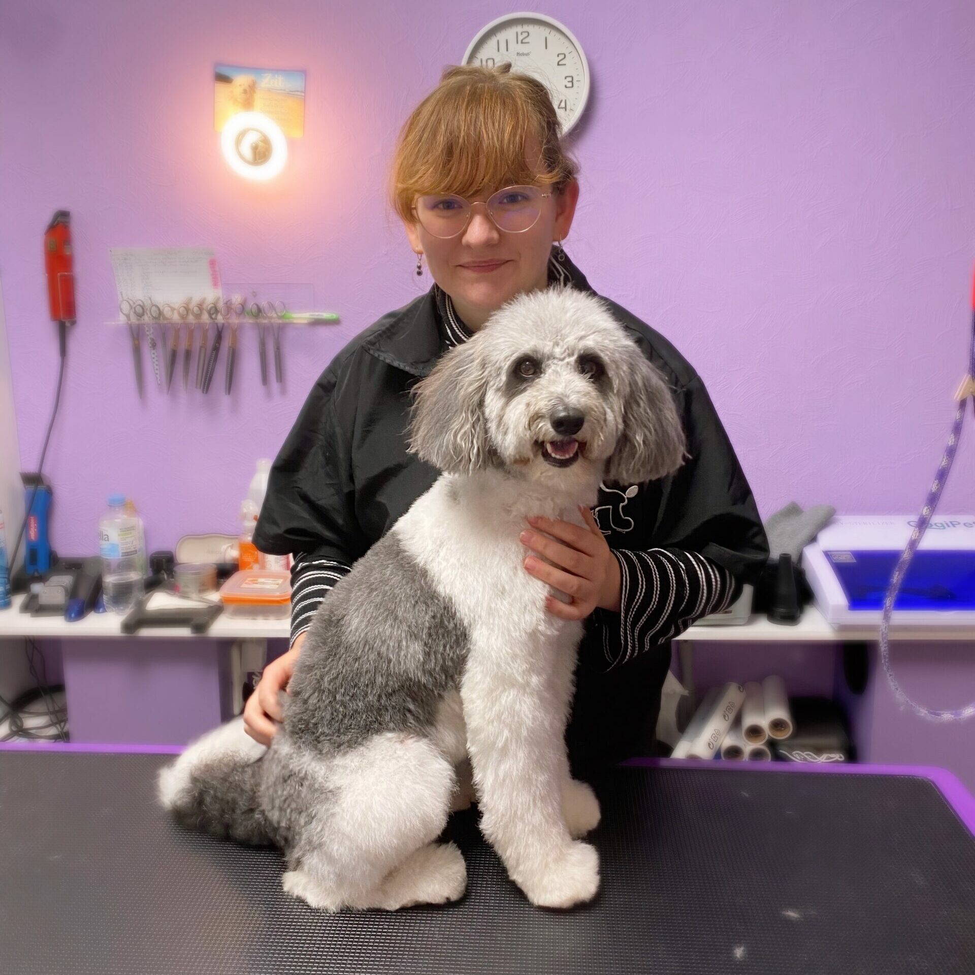 Hundefriseur Lena