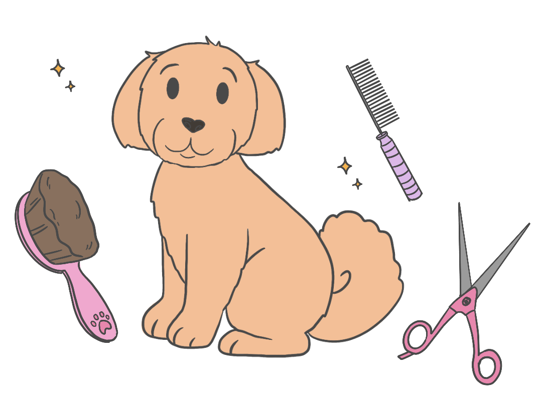 Hundefriseur 3
